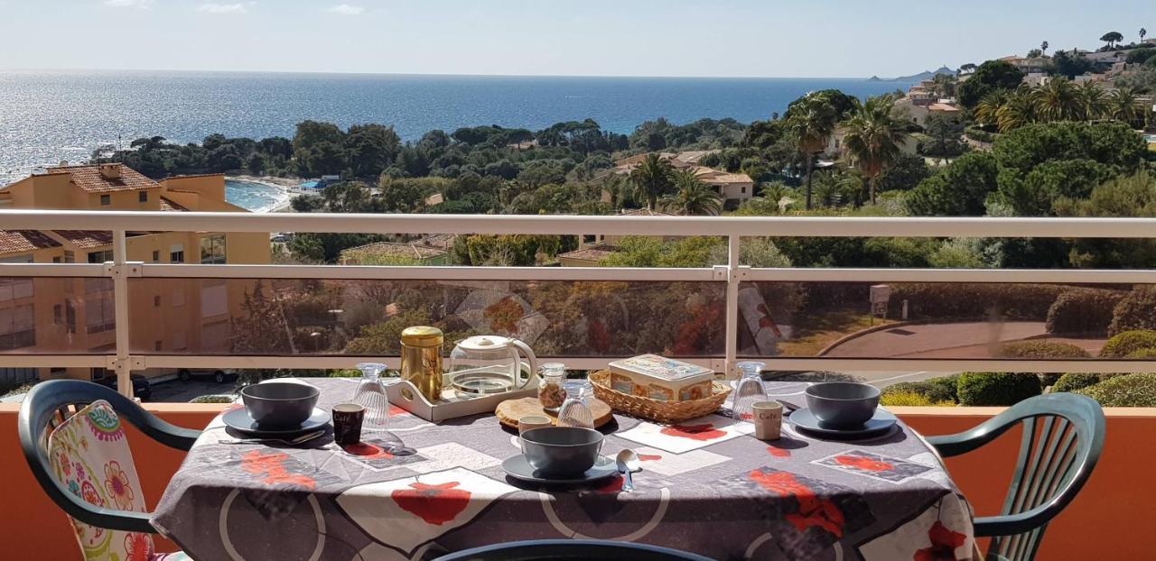 T1 Vue Mer Bord De Mer Ajaccio อฌักซิโอ้ ภายนอก รูปภาพ
