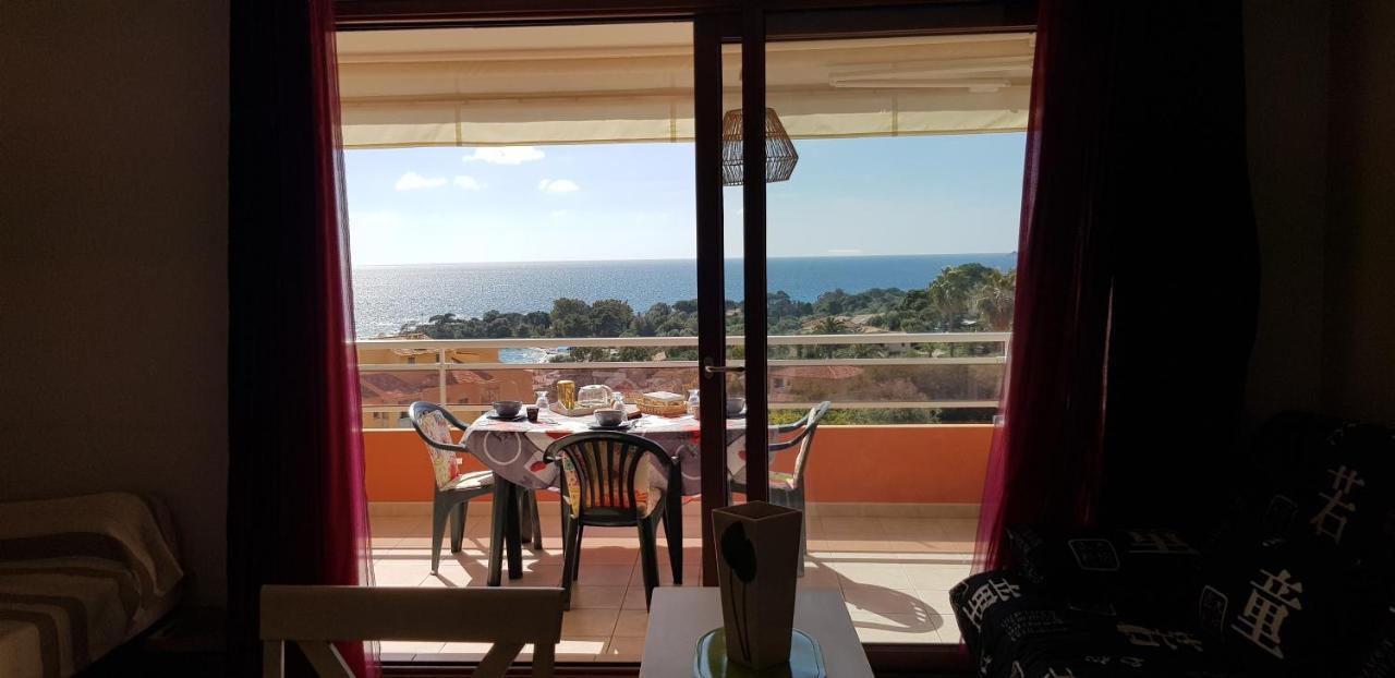 T1 Vue Mer Bord De Mer Ajaccio อฌักซิโอ้ ภายนอก รูปภาพ