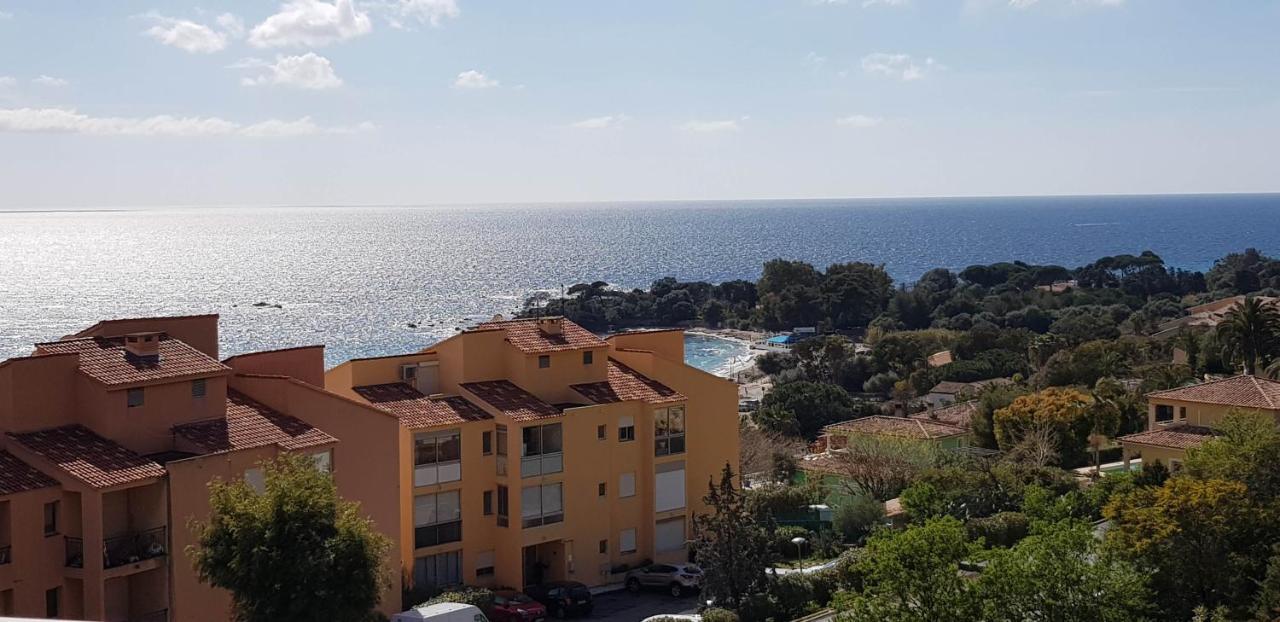 T1 Vue Mer Bord De Mer Ajaccio อฌักซิโอ้ ภายนอก รูปภาพ